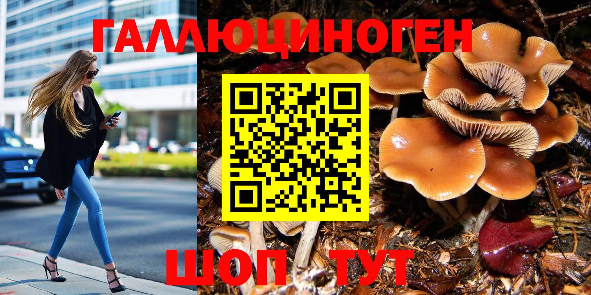 Псилоцибиновые грибы мицелий Ртищево